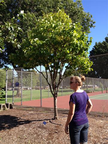 2013-08-19 16.22.59 (Small)