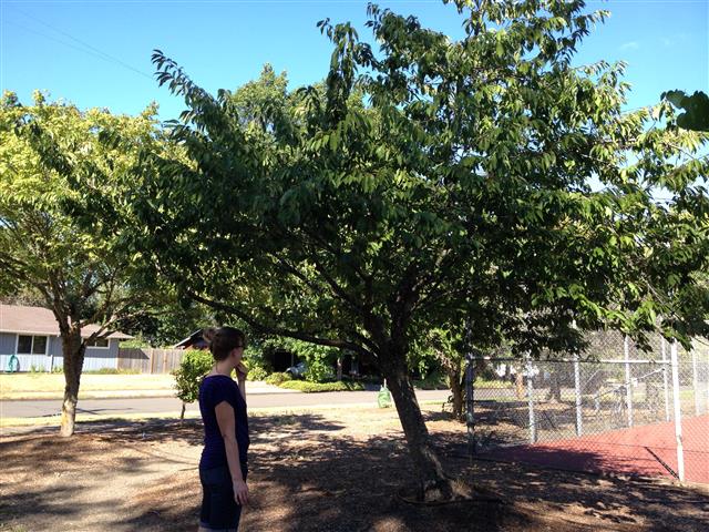 2013-08-19 16.26.46 (Small)