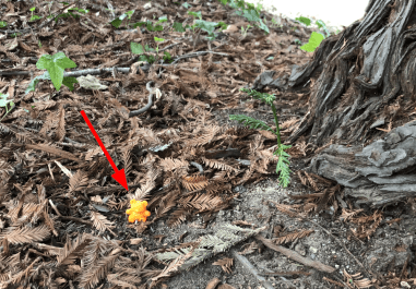 2020-04-05 20_00_18-2020-04-04 16.17.21.jpg - IrfanView (Zoom_ 1555 x 1166)