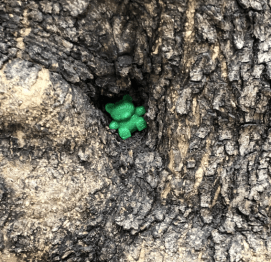 2020-04-05 20_46_01-2020-04-04 10.48.29.jpg - IrfanView (Zoom_ 658 x 877)